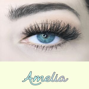 WhatsApp Image 2025-09-23 at 16.33.53