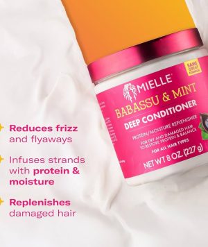 WhatsApp Image 2026-01-04 at 00.06.01 (3)