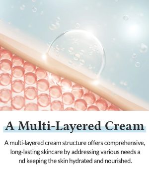 WhatsApp Image 2026-01-04 at 11.07.04