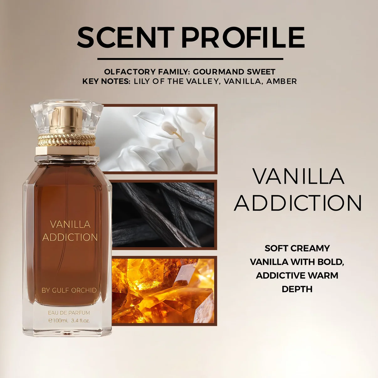 Vanilla Addiction Gulf Orchid - Image 3