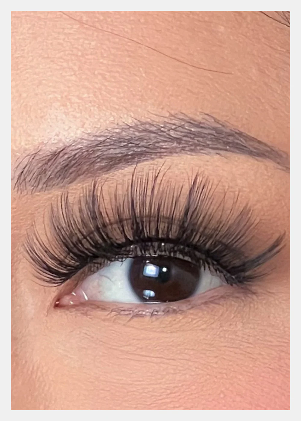 Aoa Studio D-LUX Curl Premium Faux Mink Natural Lashes Singles - Lana - Image 2